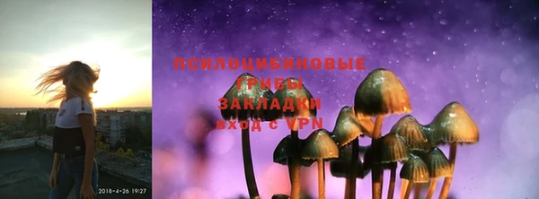 мяу мяу мука Осинники