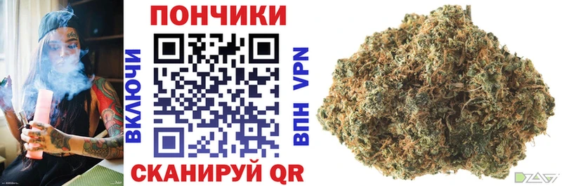 МЕГА онион  купить наркотик  Нестеровская  Бошки Шишки Bruce Banner 